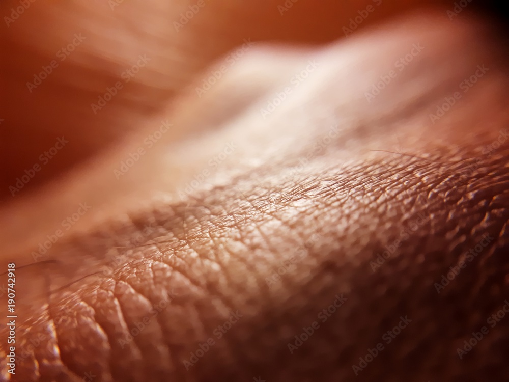 macro skin of hand macro skin of hand