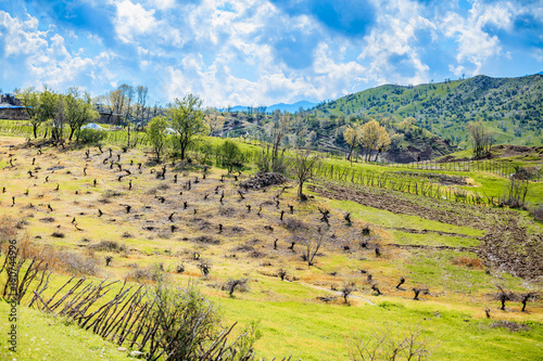 Iraqi landscape in spring season photo