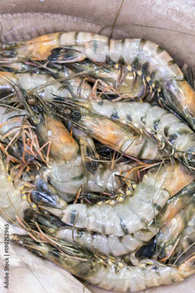 Tiger shrimps in ice Tiger shrimps in ice