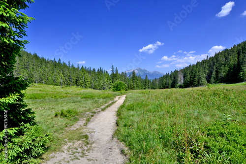 Tourist trail on the grassy meadow of Carpathians.