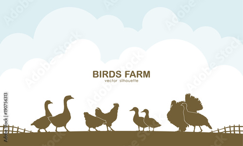 Design template of background with farm birds and fence.