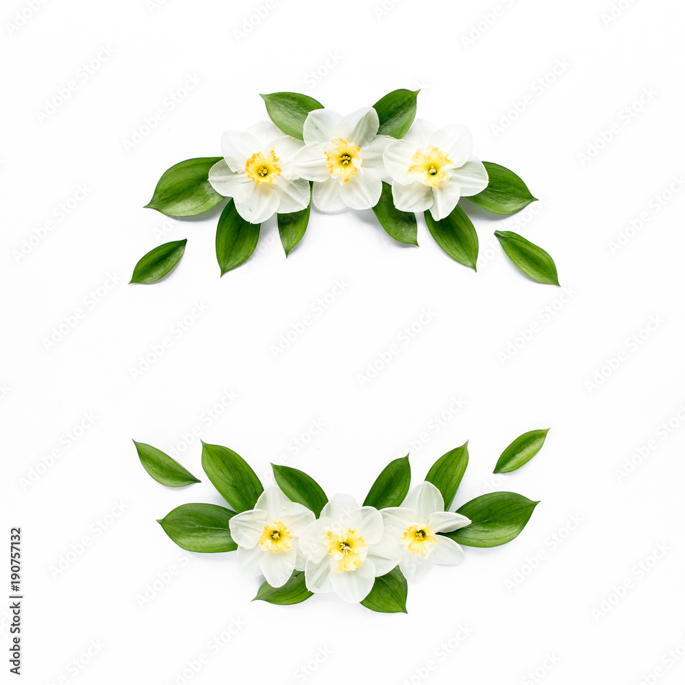 Obraz premium Round frame with white flower narcissus buds, branches and leaves isolated on white background. lay flat, top view