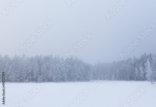 Winter wonderland landscape, wallpaper from Finland. Beautiful silent scenery.