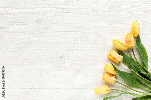 beautiful yellow tulips isolated on a white, wooden background. lay flat, top view