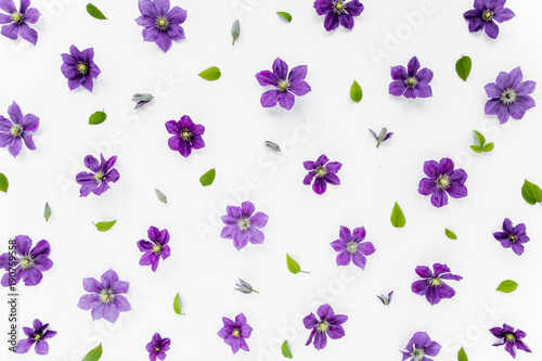 Floral texture  pattern made of purple flowers  green leaves and branches on a white background. The apartment lay  top view. Floral background. Drawing flowers.