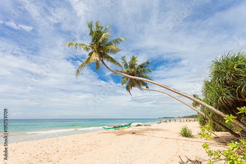 Fototapeta Naklejka Na Ścianę i Meble -  Balapitiya, Sri Lanka - The beautiful landscape at the beach of Balapitiya