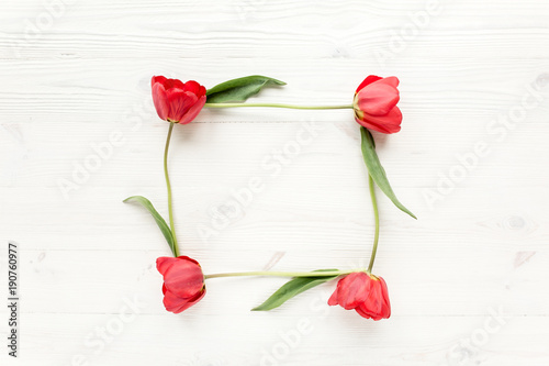 Fototapeta Naklejka Na Ścianę i Meble -  frame with beautiful red tulips isolated on a wooden white background. lay flat, top view