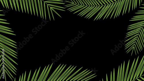 Coconut palm leaves transparent frame moving by the wind looping and copy space animation 4K on black background with alpha channel