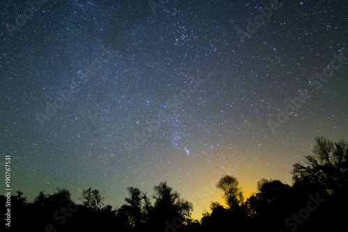 Orion constellation on a noght starry sky above a forest silhouette photo