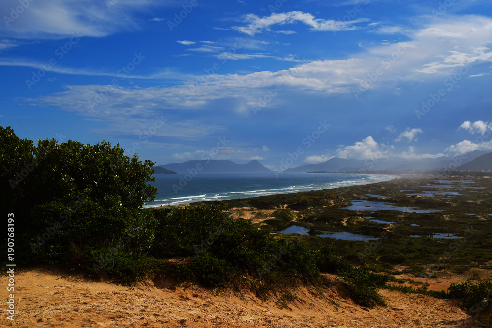 Fototapeta premium Beach