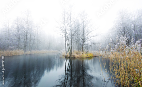 ruhiges und kaltes Winterwetter an einem Gew  sser im Land Brandenburg   Deutschland  