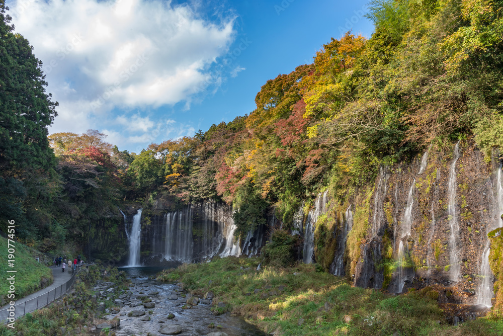 shiraito Waterfall in autumn season with green and red maple tree and blue sky. the Waterfall in the southwestern foothills of mountain Fuji. Japan shiraito Waterfall in autumn season with green and red maple tree and blue sky. the Waterfall in the southwestern foothills of mountain Fuji. Japan