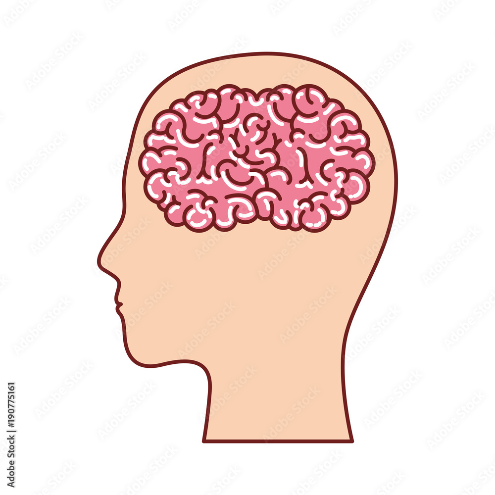 human head face brain science mind intelligence vector illustration human head face brain science mind intelligence vector illustration