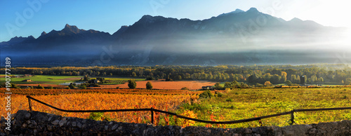 panorama of autumn vineyards in Switzerland