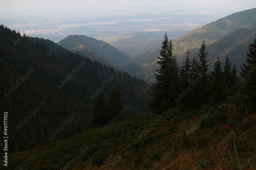 Fototapeta premium Mountain