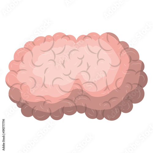  brain science mind intelligence mental design creative think vector illustration