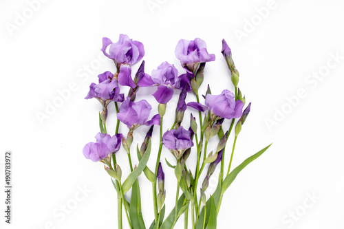 Floral frame made of purple iris flowers bouquet on white background. Flat lay, top view  Frame of flowers. Floral background.