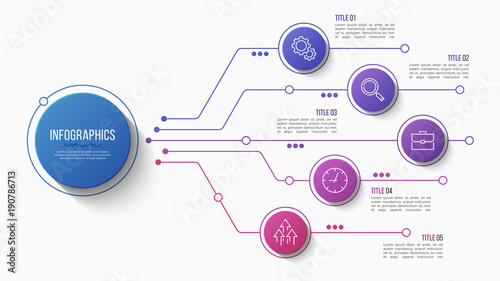 Vector 5 options infographic structure chart