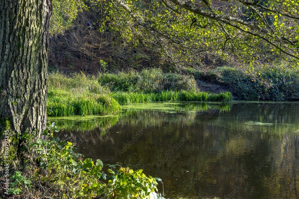 Small pond in the foreground of hills Small pond in the foreground of hills
