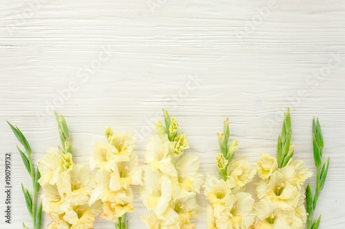Fényképezés Beautiful yellow gladioluses on wooden white background