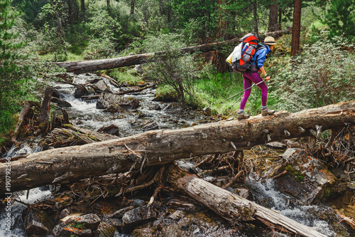 Tableau sur toile Woman hiker crossing the river in mountains using a big tree trunk, outdoor adve