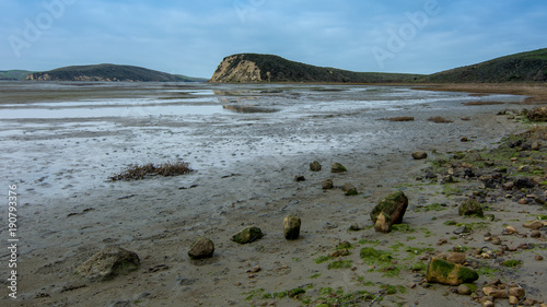 Estuary at the end of the Estero Trail in Point Reyes National Seashore, California, USA photo