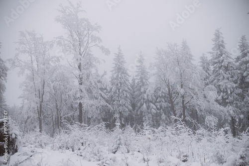 winter background, snow and fog in mountain