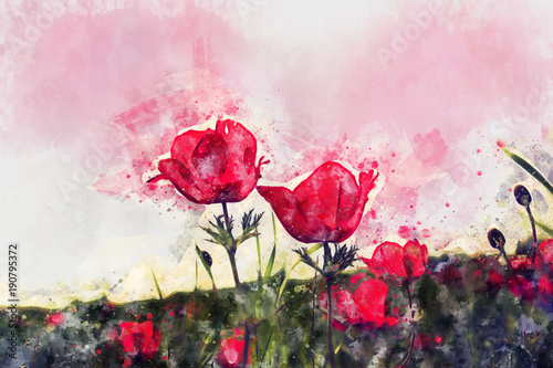 watercolor style and abstract image of red poppy in the green field.