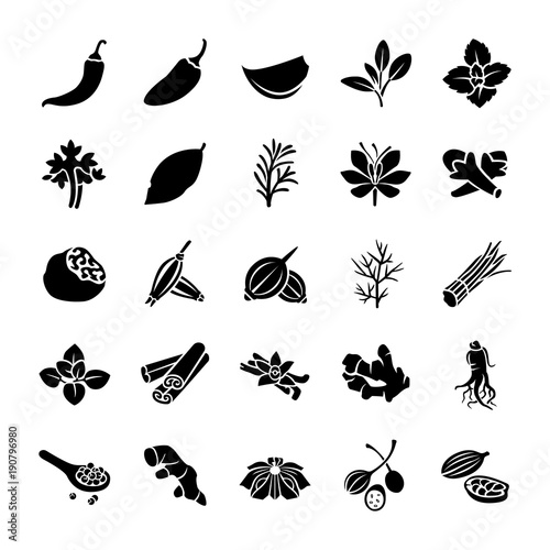 Herbs & Spices vector icons