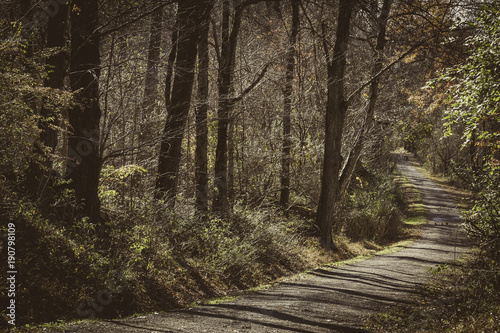 Path to Happiness 