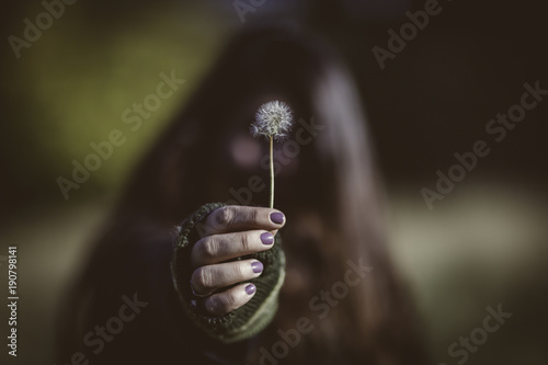 Make a Wish 
