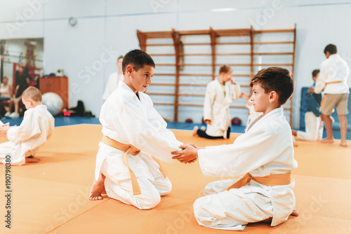 Boys in uniform practice martial art