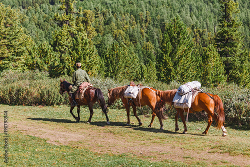 A rider on horseback with a caravan carries tourist equipment for an expedition in the mountains