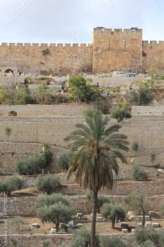Obraz na płótnie Goldenes Stadttor Jerusalem Israel w salonie