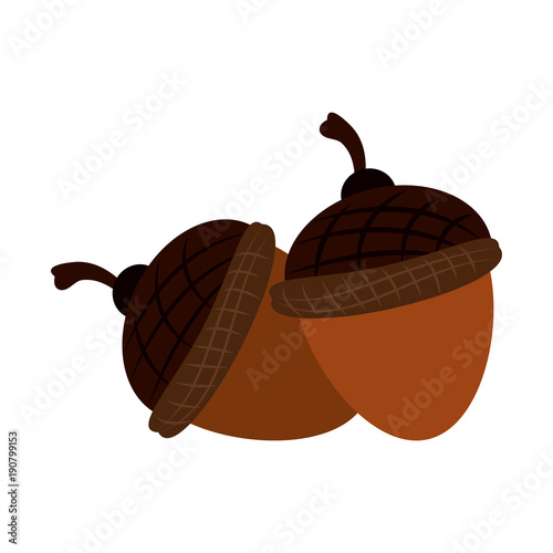 Nuts cartoon isolated icon vector illustration graphic design