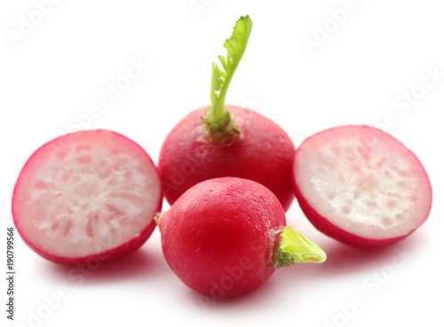 Fresh small radish