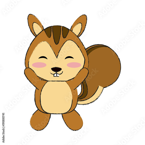 Cute squirrel cartoon icon vector illustration graphic design