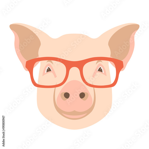  pig  face vector illustration flat style  front