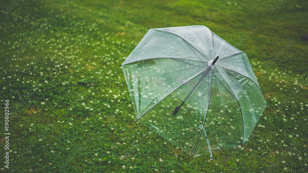 Umbrella In The Lawn