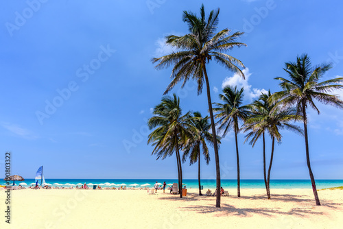 vacation on the beach on the hot Caribbean islands with green palms, yellow sand, blue sky