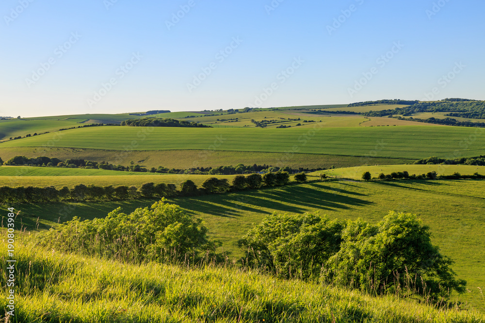 Sussex Landscape