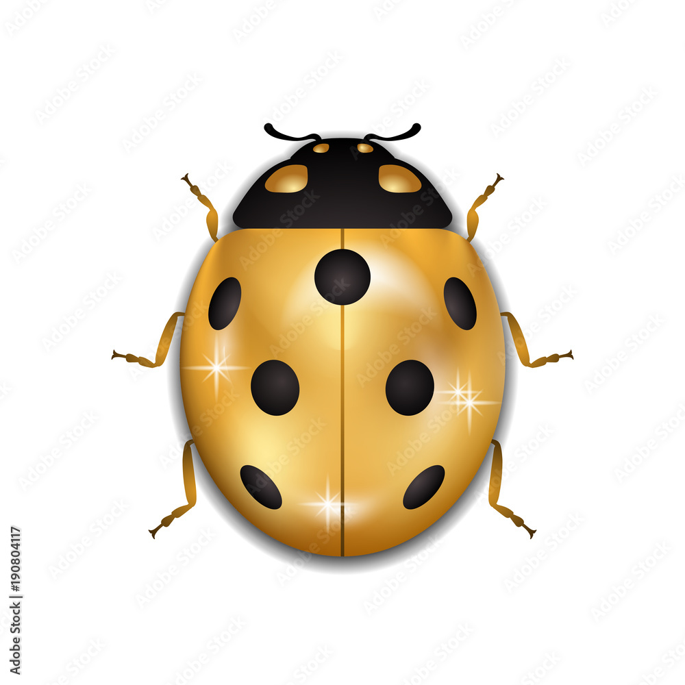 Fototapeta premium Ladybug gold insect small icon. Golden metal lady bug animal sign, isolated on white background. 3d volume bright design. Cute shiny jewelry ladybird. Lady bird closeup beetle.. Vector illustration