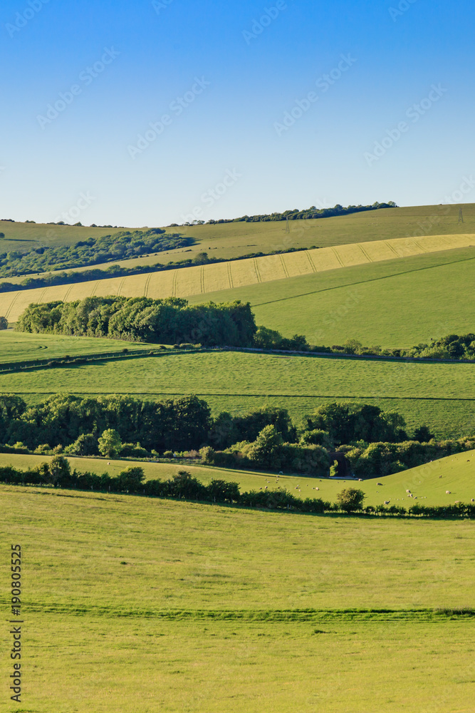 Idyllic Sussex Landscape