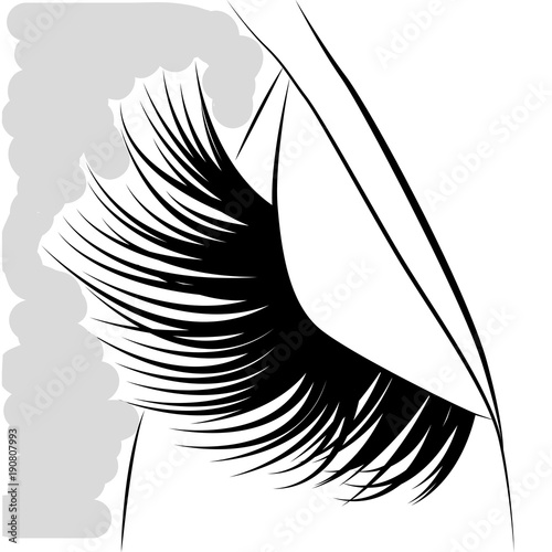 eyelash esign,    art,  abstract,  white,  black,  beautiful,