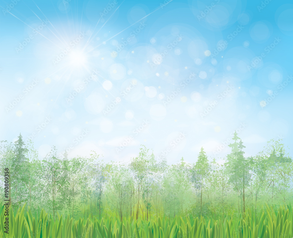 Vector summer landscape with blue sun shine  sky and  forest background.