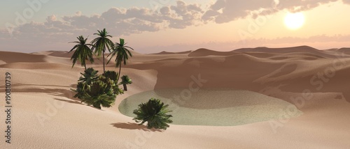 Oasis in the sandy desert during sunset  