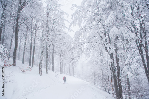 Nordic ski couple in white winter nature, original sport photo