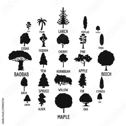 Tree icons set. Simple illustration of 25 tree vector icons for web