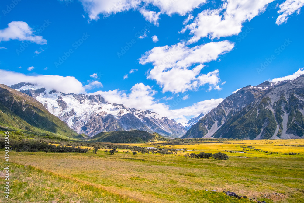 Beautiful scene of road to Mt Cook National park with yellow field, mountain with blue sky and clouds.