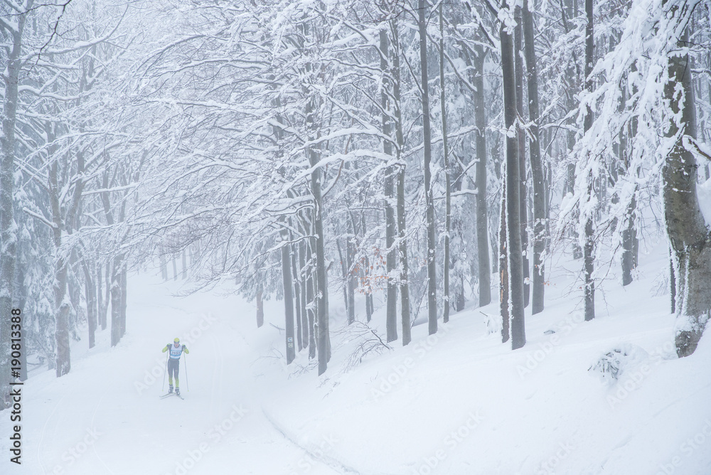 Professional race - nordic skier ride in white winter nature Professional race - nordic skier ride in white winter nature